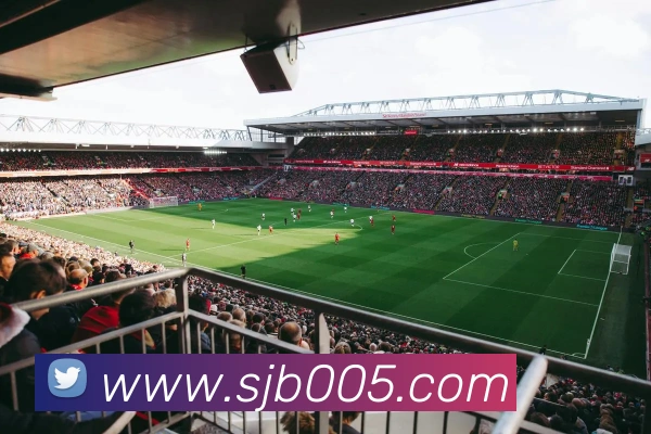 App Interface Preview